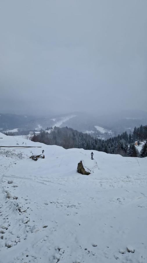 Rezydencja Nad Potoczkiem Wisła Buitenkant foto